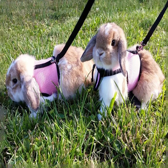 Breathable and stylish pet vest-style harness with adjustable soft strap and elastic leash set, suitable for rabbits and cats