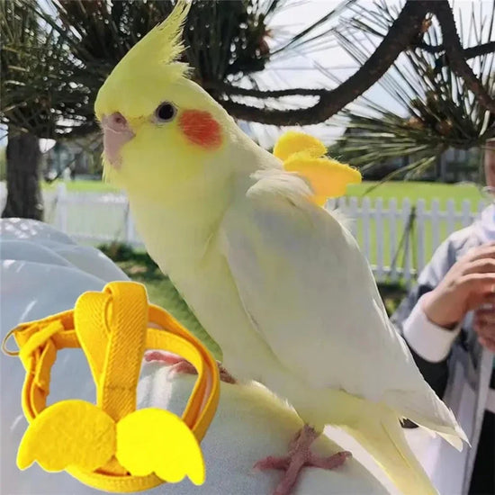 Small and lightweight parrot flight harness suitable for lovebirds and sunbirds as well as bird walkers for outdoor bird release