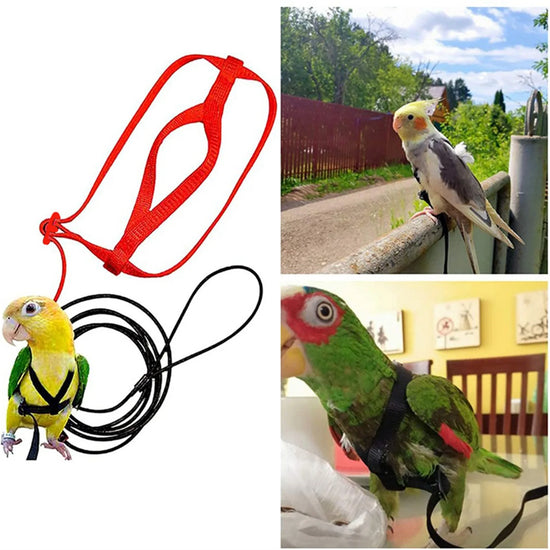 Parrot flying rope traction strap outing rope training traction rope Grey parrot King Kong flight rope training bird supplies