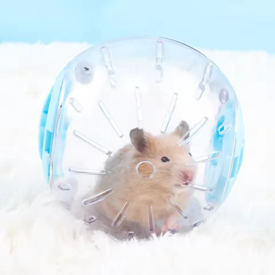 Colorful Cover Running Ball Hamster Toy Pet Supplies Transparent Ball Roller Fitness Exercise Mini Wheel Small Pet Supplies