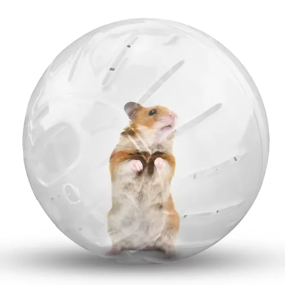 Colorful Cover Running Ball Hamster Toy Pet Supplies Transparent Ball Roller Fitness Exercise Mini Wheel Small Pet Supplies