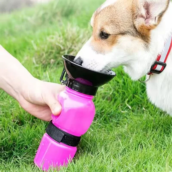 Pet Outdoor Squeeze Portable Water Bottle