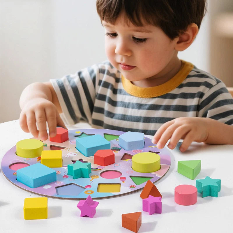 Montessori Shape Matching Puzzle for Toddlers Educational Toy for Early Learning Color Recognition Birthday Gift Toys