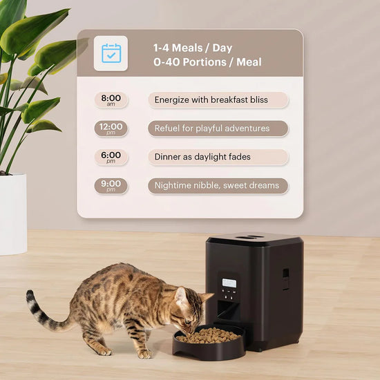 New 2L pet feeder, smart food dispenser