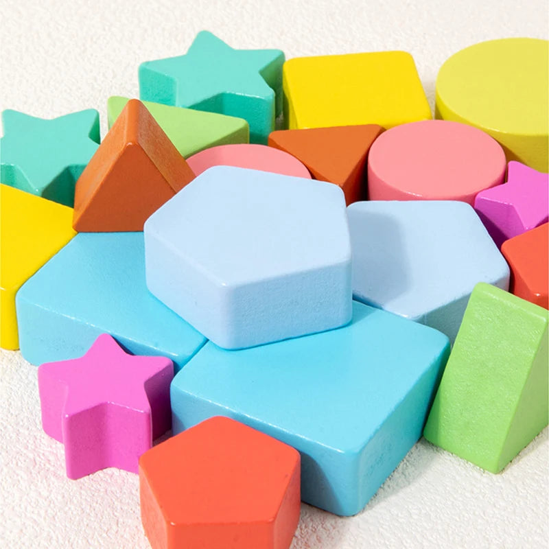 Montessori Shape Matching Puzzle for Toddlers Educational Toy for Early Learning Color Recognition Birthday Gift Toys